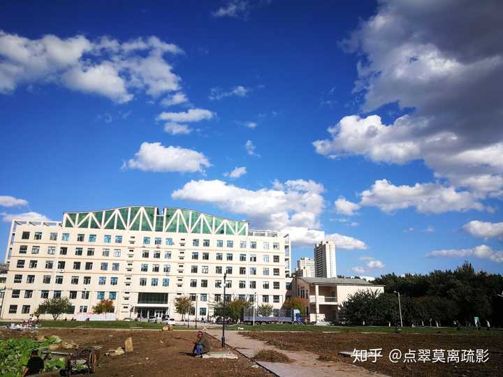 东北农业大学的校园环境如何?