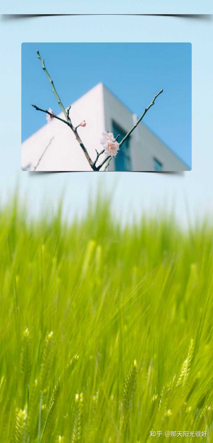 有什么励志的手机壁纸吗?