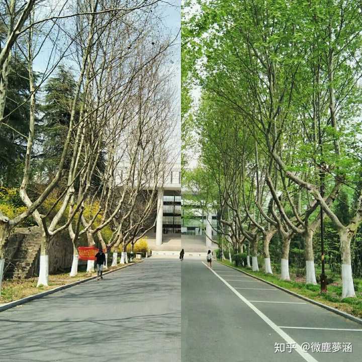 南京大学金陵学院(民办独立学院)怎么样?