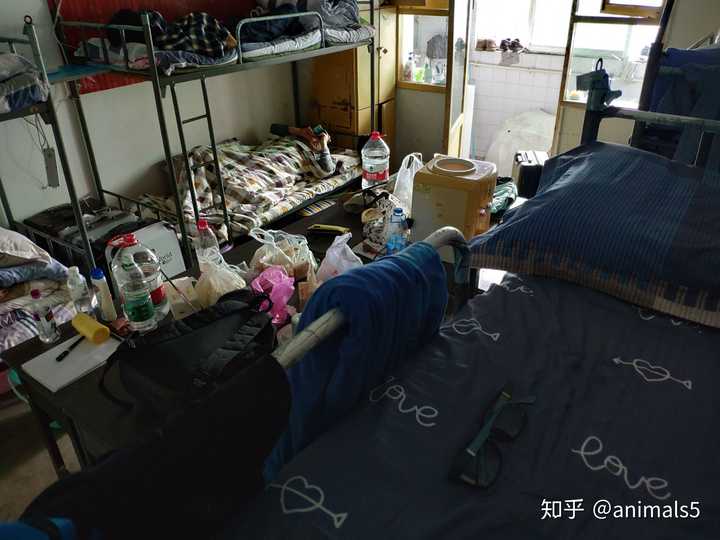 贵州大学的宿舍条件如何?校区内有哪些生活设施?