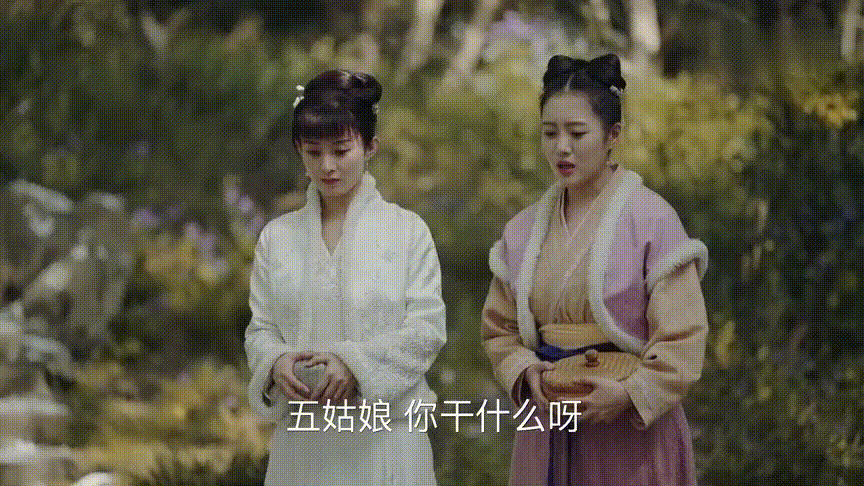 描影子的明兰https://www.zhihu.com/video/1217175681450557440