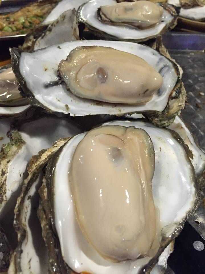 像我这么爱吃生蚝的人