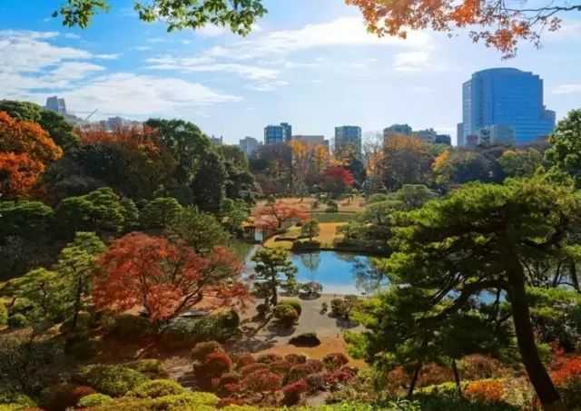 7月去日本旅游,请问有什么东京周边值得一去的景点?