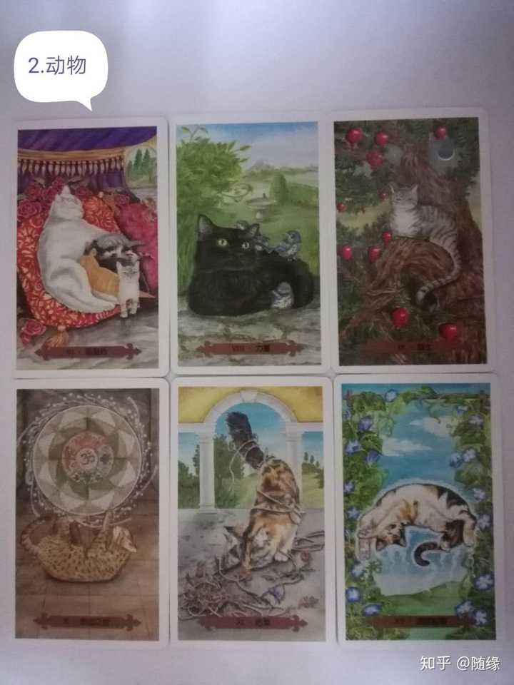 而猫魅塔罗可以引领入深层潜意识探索你崩溃原因