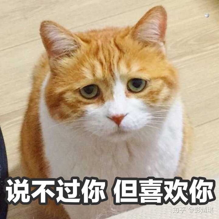 有没有给女朋友发的表情包?