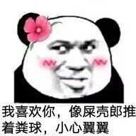 用表情包表白是种怎样的体验?