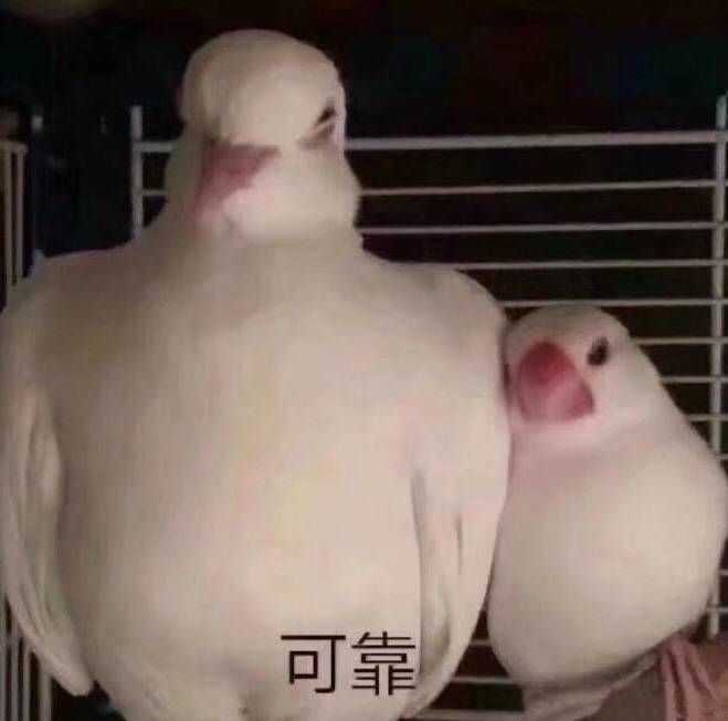 有比较沙雕一点的表情包吗?
