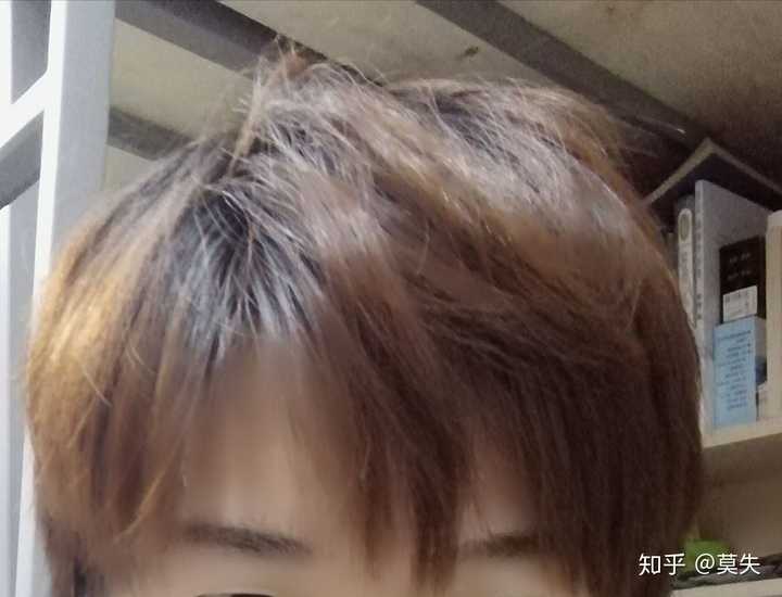 鸡窝头试一下?