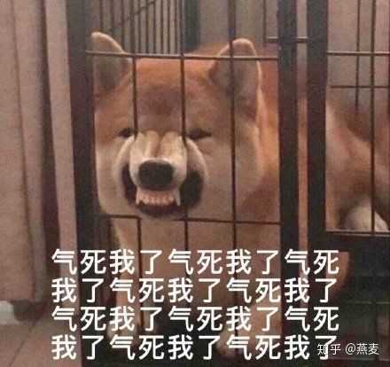 这tm是什么狗屁不通的东西,跪求一双没有看过的眼睛!