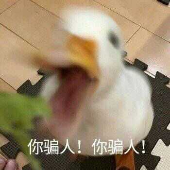 有什么表情包能表达被喂狗粮时的心情?