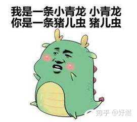 有哪些够你笑一辈子的沙雕图片?