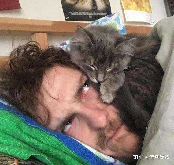 1,和猫脸贴脸