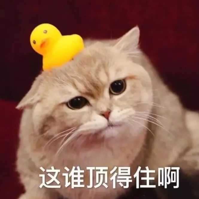 有没有微信里特别可爱的表情包?