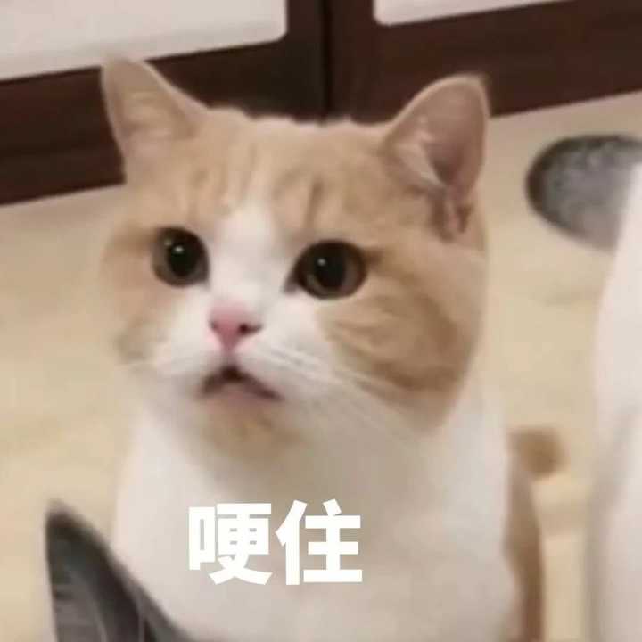 放前面比较容易找 快夸我贴心嘿嘿嘿(疯狂眼神暗示) 后面有渣女表情包