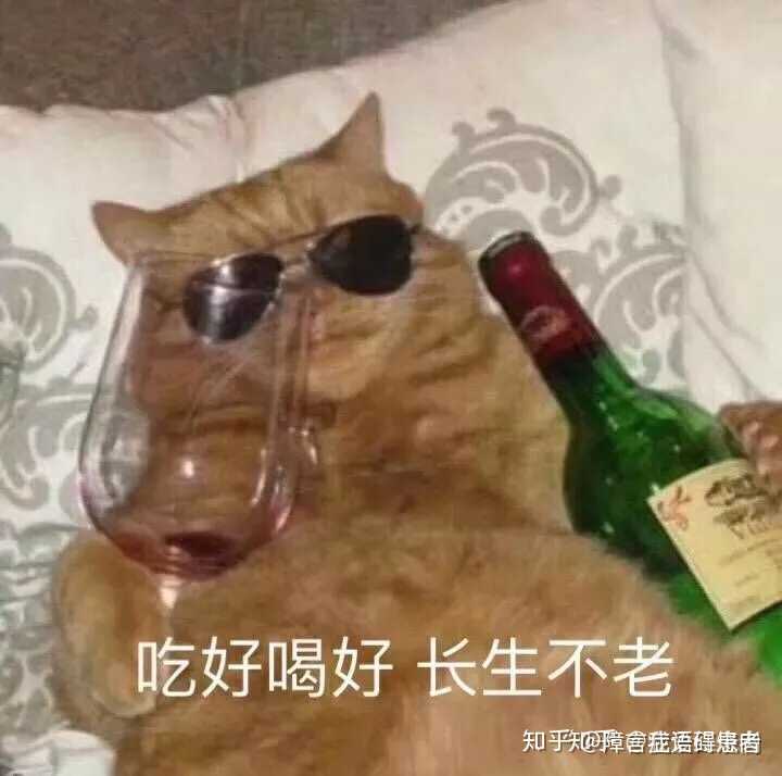 是不是尝试一次死的感觉,会看清很多问题?