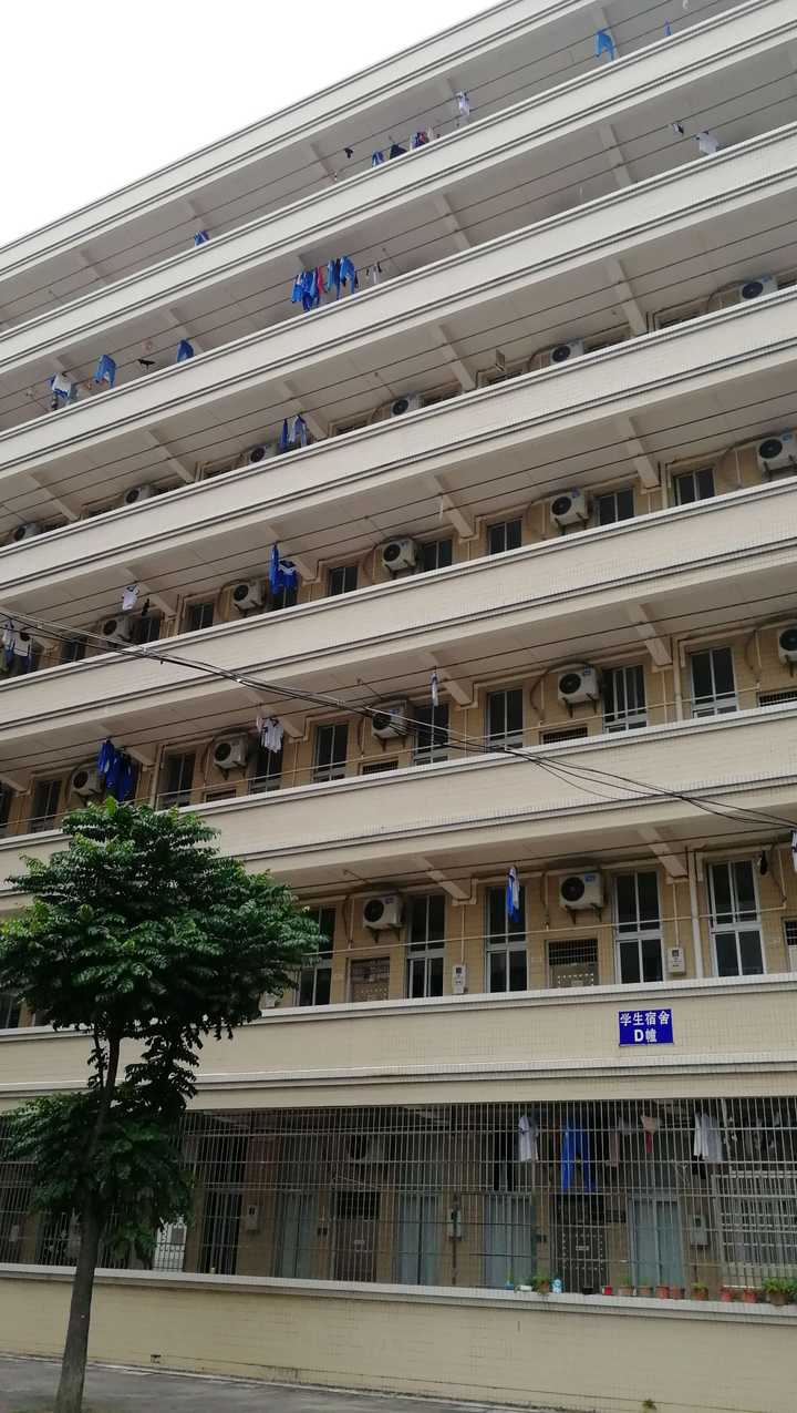 在广东高州中学就读是一番怎样的体验?