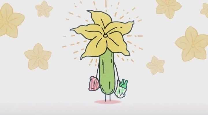 红小豆里面的黄瓜 ,特别可爱