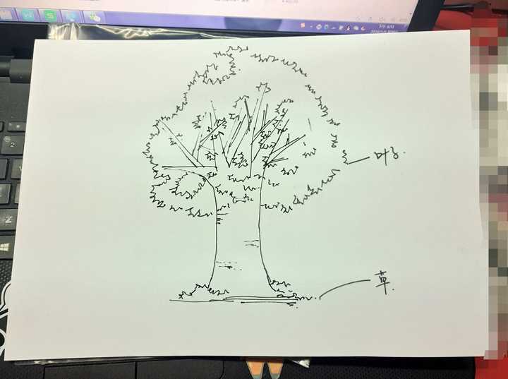 心理学图像分析--画树 ,画树是如何反应一个人的心理和生活状态的呢?
