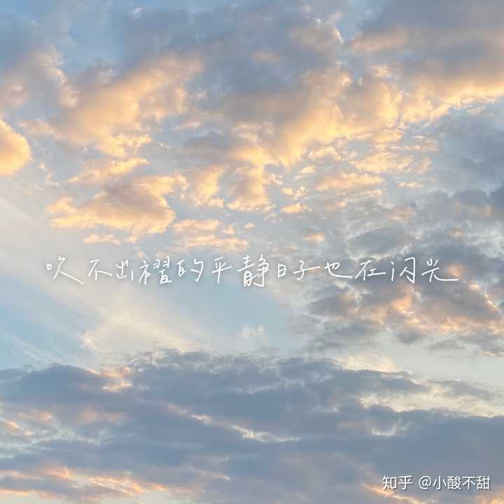 你们听过的,看过的,发圈的,最喜欢的一句话是什么?