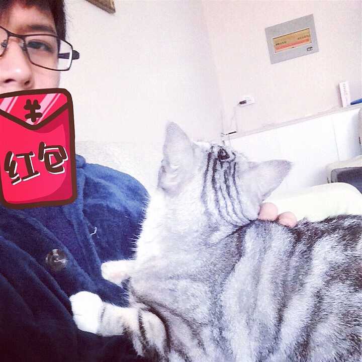 看最近七宝酥发照片下一溜的美美美,我是眼瞎了吗?