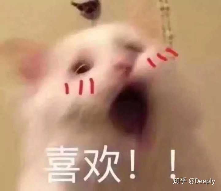 有哪些很沙雕的表情包?