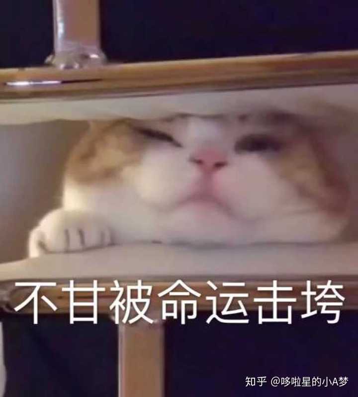 多半是因为做题结果不理想,书没背会等等原因,但是都是一瞬间的事儿