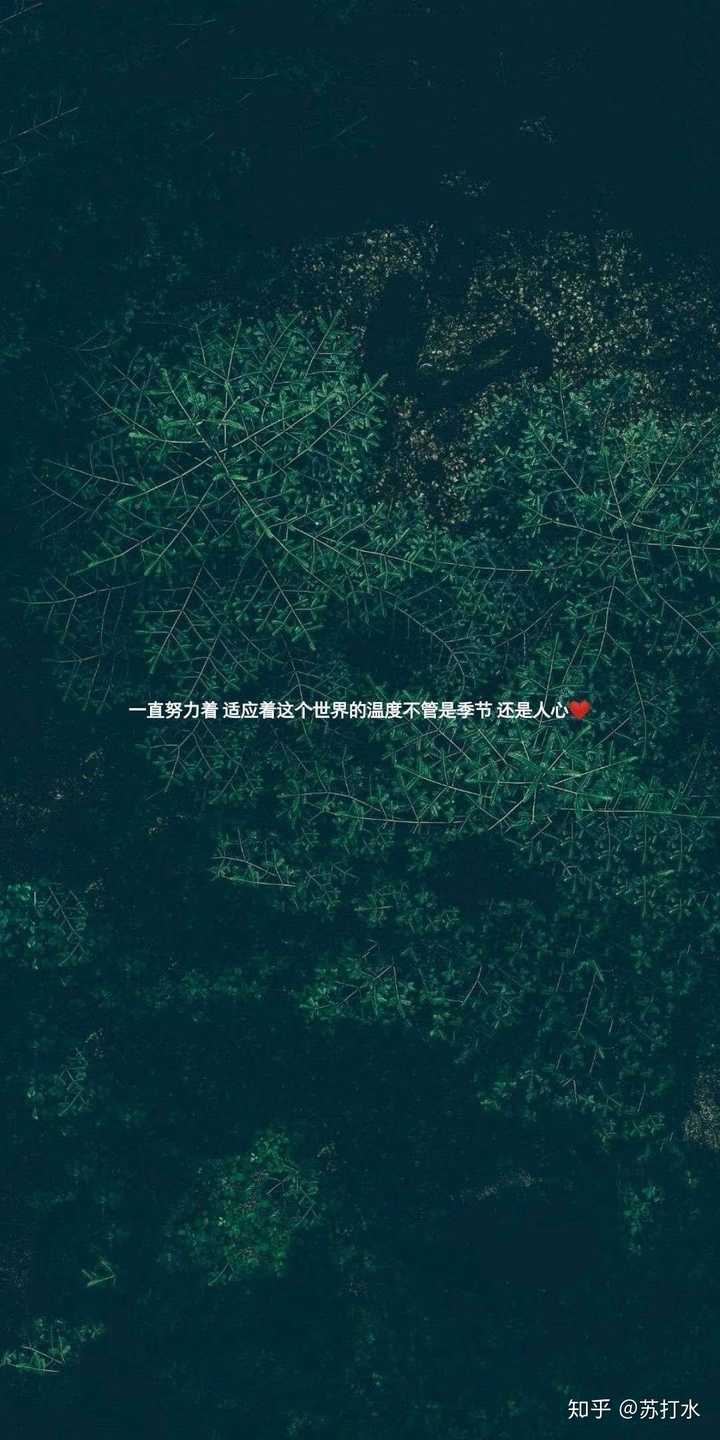 (准)高三狗,有没有什么适用在班级公共电脑的励志壁纸