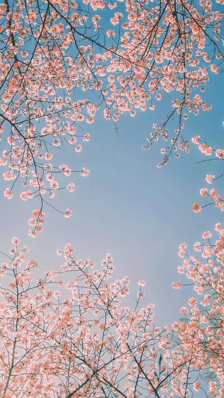 心情不好,想换个壁纸,推荐一下,谢谢?