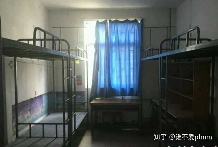 郑州大学国际学院的宿舍条件如何?校区内有哪些生活设施?
