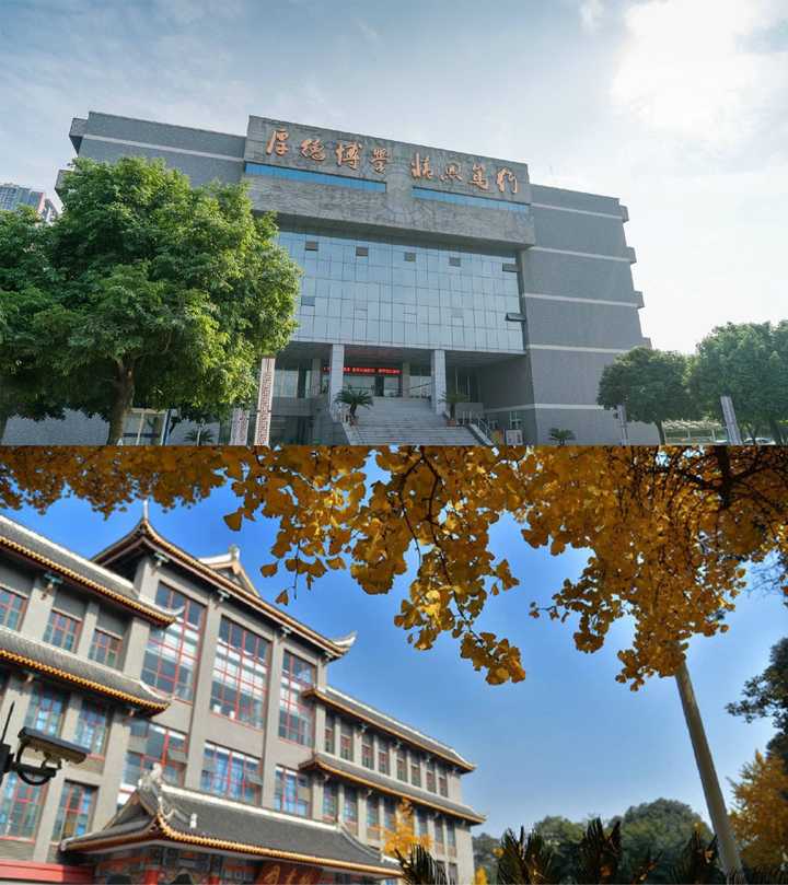 在成都中医药大学读书是怎样的一种体验?