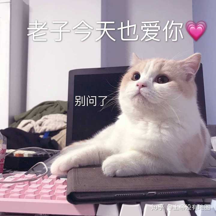 有哪些可以哄男朋友开心的表情包?