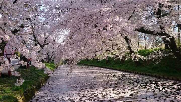 适合春天旅游的地方?
