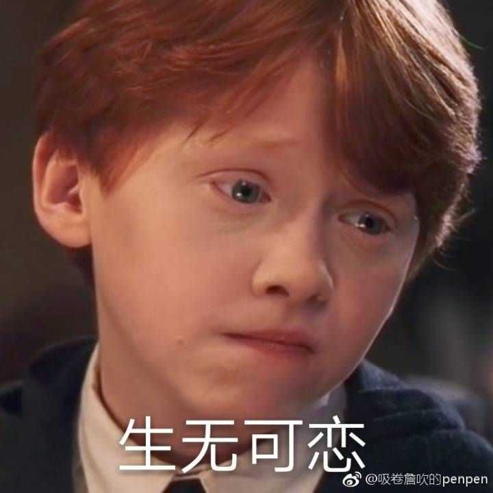 这里当然要有哈利波特的沙雕表情包呀!