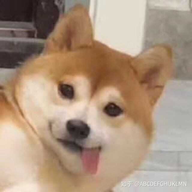 如何当好舔狗?