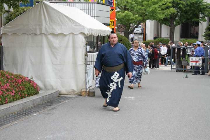 为何日本相扑选手普遍都是超级大胖子,而没有肌肉猛男