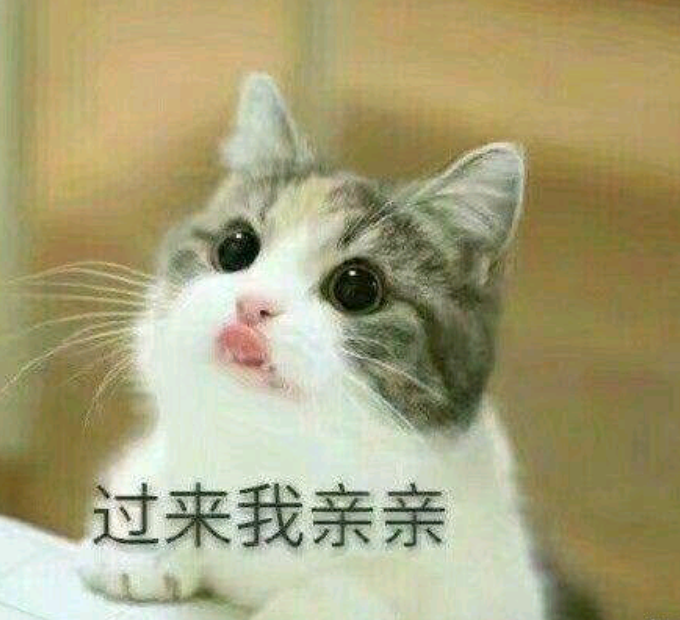 有哪些可以哄男朋友开心的表情包?