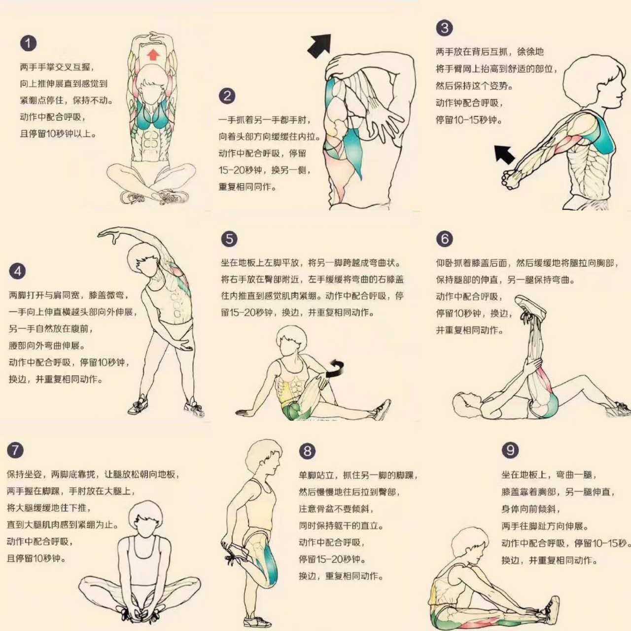 增高的最有效方法 知乎