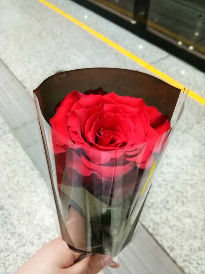 男生收到女生送的花是什么体验?