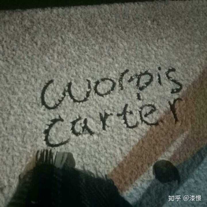 如何评价ウォルピスカーター(wolpis carter)?