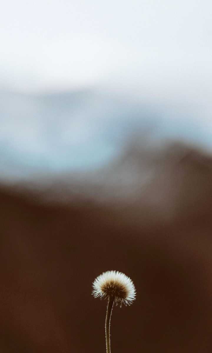 有没有浅色系的手机壁纸?