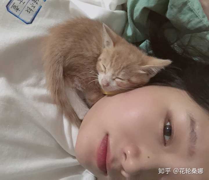 为什么女生都喜欢养猫?