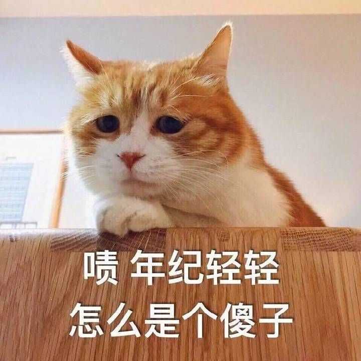 男生发猫猫狗狗的可爱表情包会是渣男吗?为什么?