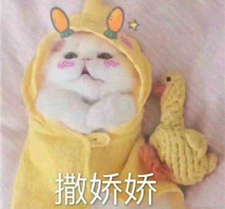 有哪些适合情侣间聊天使用的表情包?