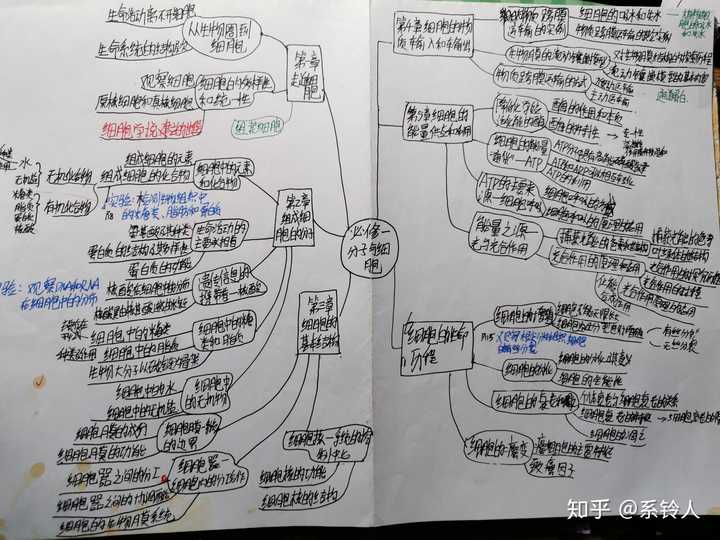 高中生物教案范文_高中体育教案模板范文_八年级生物教案