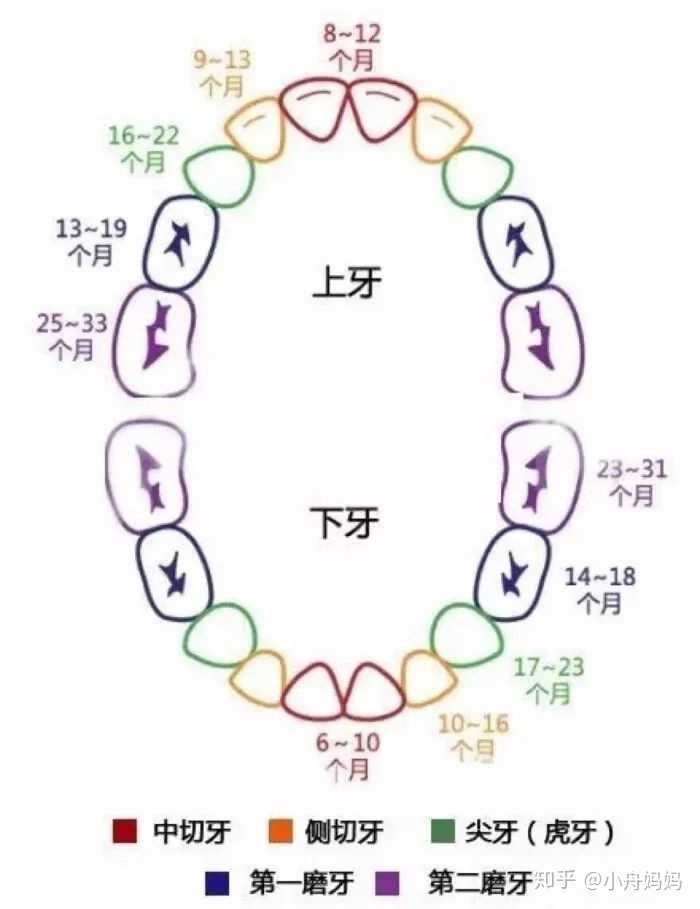 教大家一个简单的公式: 宝宝出牙数=月龄-4或6.