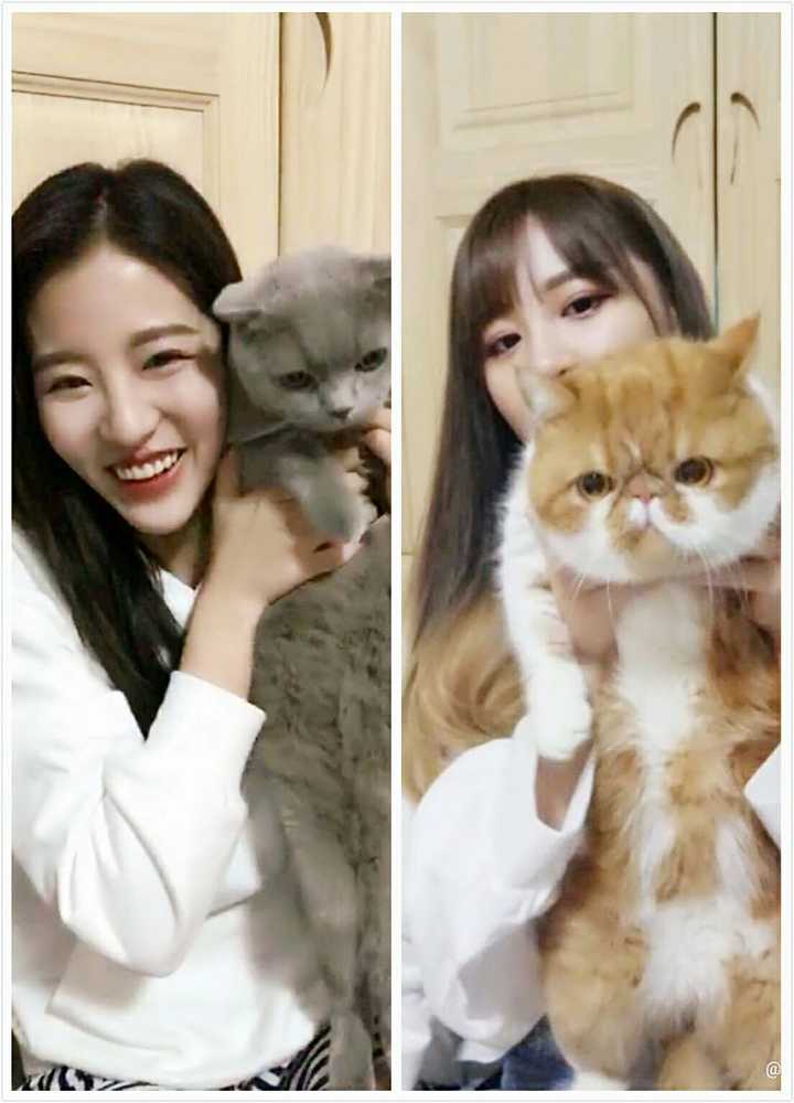 snh group中哪个cp很冷但是你觉得的很萌的呢?