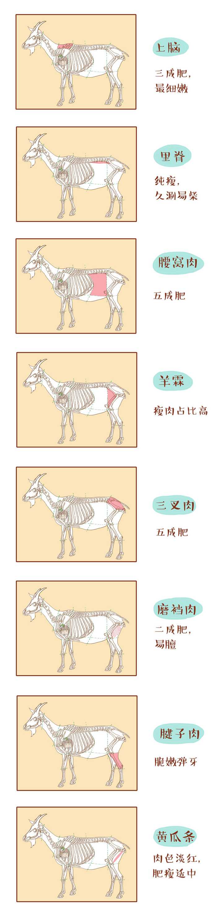 羊的各部位怎么做最好吃?