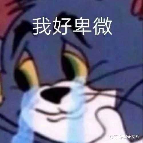 太沙雕的女生是不是会找不到男朋友?