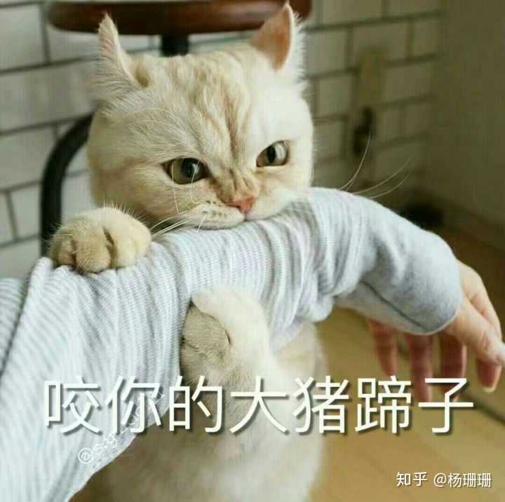 有什么适用于和老公/男票撒娇的可爱表情包?
