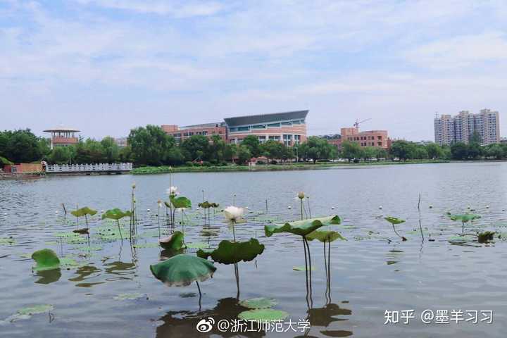 在浙江师范大学里有哪些适合学习的地方?